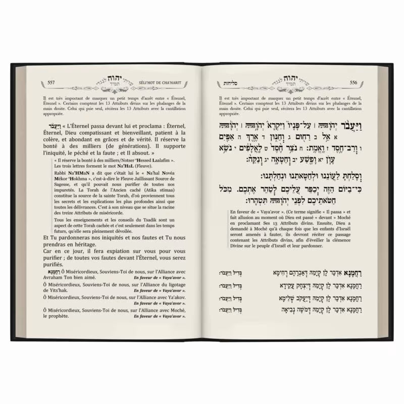 Kippur of Rabbeinu (Machzor)